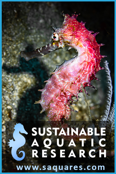 "Sustainable life in the world will be realized with sustainable aquatic research"